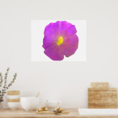 Paars Petunia Poster (Keuken)