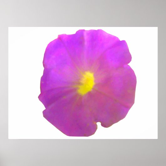 Paars Petunia Poster (Voorkant)