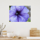 Paars Petunia Poster (Keuken)