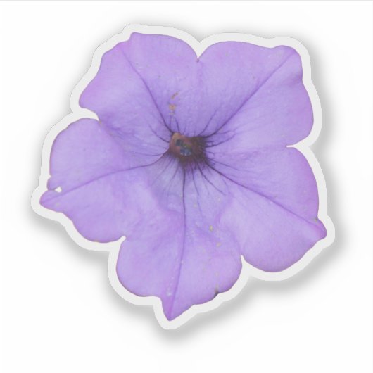 Paars Petunia Sticker (Voorkant)