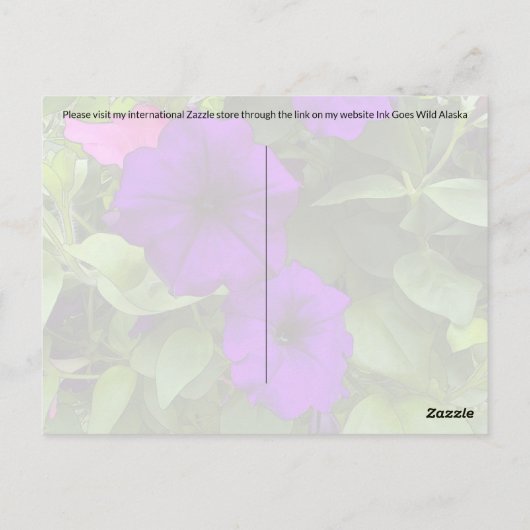 Paars Petunias - Briefkaart (Achterkant)