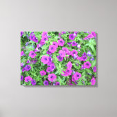 Paars Petunias Canvas (Voorkant)