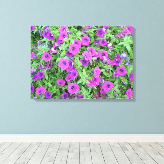 Paars Petunias Canvas (Insitu (Houten vloer))