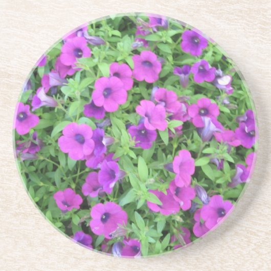 Paars Petunias Onderzetter (Voorkant)