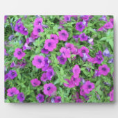 Paars Petunias Plaque Fotoplaat (Voorkant)