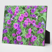 Paars Petunias Plaque Fotoplaat (Zijkant)