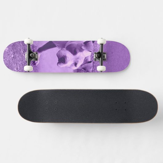 Paars Pit Bull Skateboard (Horizontaal)