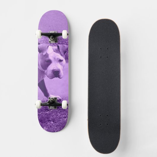 Paars Pit Bull Skateboard (Voorkant)