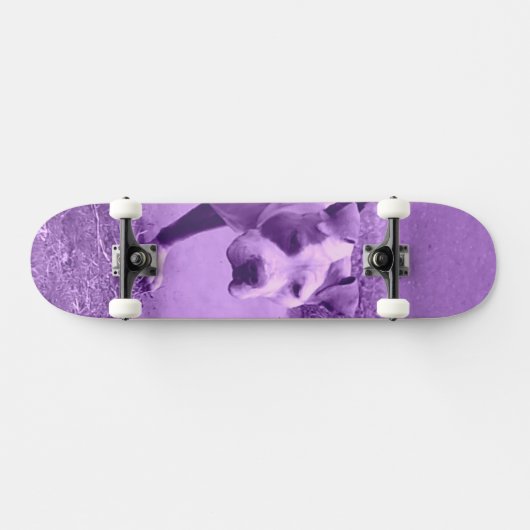 Paars Pit Bull Skateboard (Horizontaal)