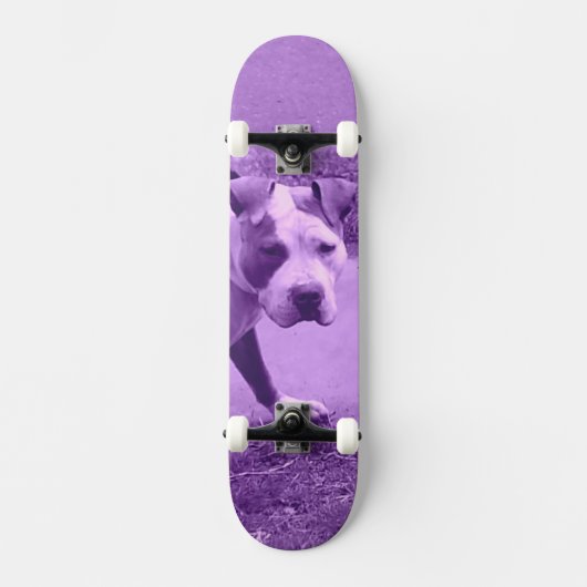 Paars Pit Bull Skateboard (Voorkant)