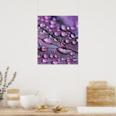 Paars Poster (Keuken)