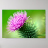 Paars Poster (Voorkant)