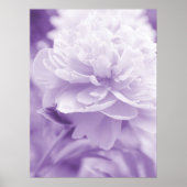 Paars Poster Peony (Voorkant)