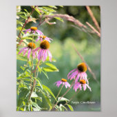 Paars Poster van cefloer (Voorkant)