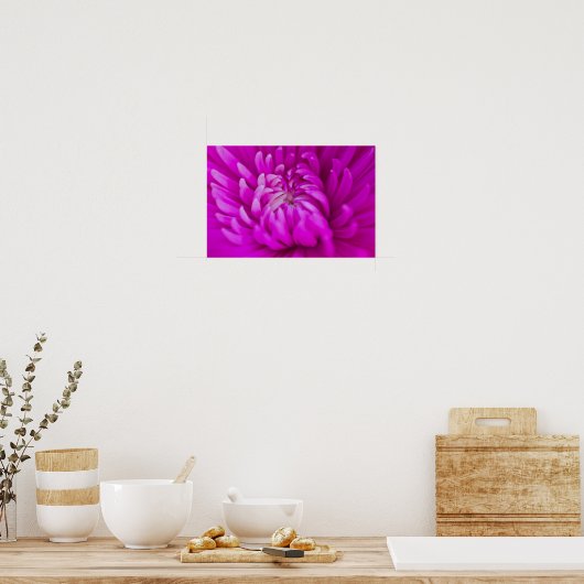 Paars Poster van chrysanthemum (Keuken)