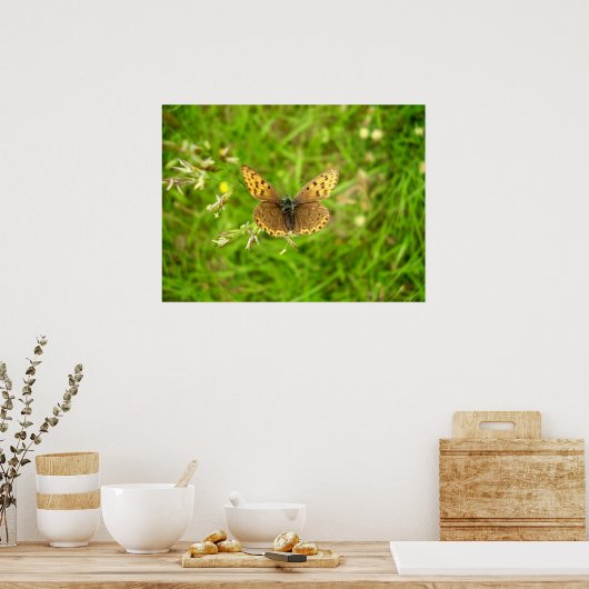 Paars Poster van koperen vlinder (Keuken)