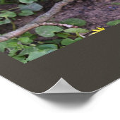 Paars Poster van wilde bloemen (Hoek)