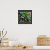 Paars Poster van wilde bloemen (Keuken)