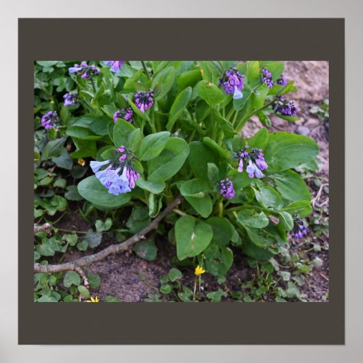 Paars Poster van wilde bloemen (Voorkant)