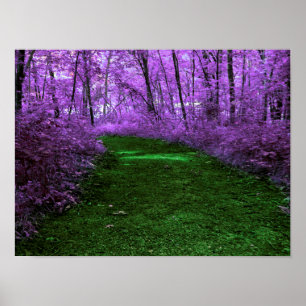 Paars Poster voor Forest Path Digital Art Design