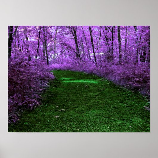 Paars Poster voor  Forest Path Digital Art Design (Voorkant)