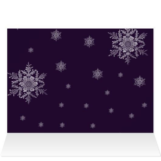 Paars rendierlijk Wenskaart (Binnen Horizontaal (Boven))