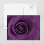 Paars Roos Artsy Briefkaart (Voorkant / Achterkant)