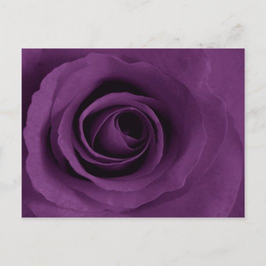 Paars Roos Artsy Briefkaart (Voorkant)