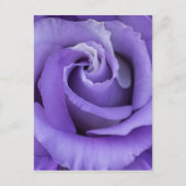 Paars Roos Floral Briefkaart (Voorkant)