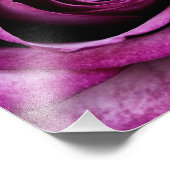 Paars Roos Foto Afdruk (Hoek)