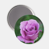 Paars Roos Magneet (Voorkant / Achterkant)