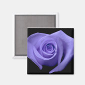 Paars Roos Magnet (Voorkant / Achterkant)