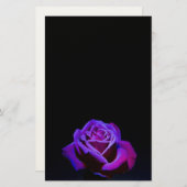 Paars Roos met waterdruppels op zwarte achtergrond Briefpapier (Voorkant / Achterkant)