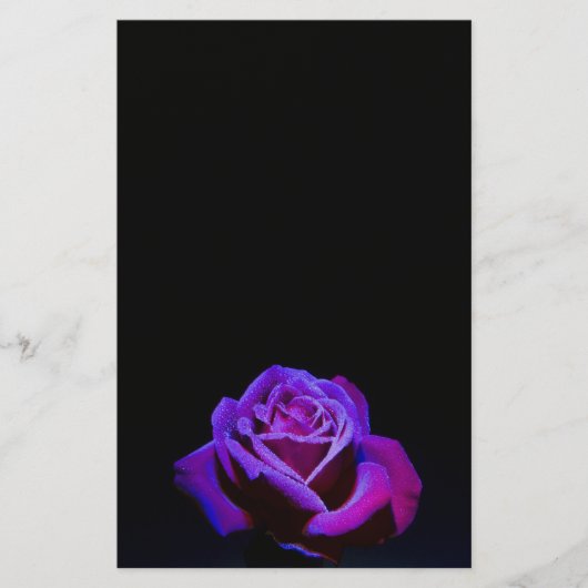 Paars Roos met waterdruppels op zwarte achtergrond Briefpapier (Voorkant)