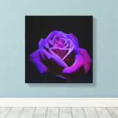 Paars Roos met waterdruppels op zwarte achtergrond Canvas Afdruk (Insitu (Houten vloer))