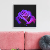 Paars Roos met waterdruppels op zwarte achtergrond Canvas Afdruk (Insitu (Woonkamer))