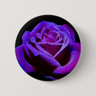 Paars Roos met waterdruppels op zwarte achtergrond Ronde Button 5,7 Cm