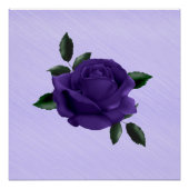 Paars Roos Perfect Poster (Voorkant)