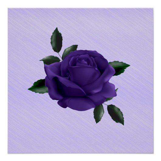 Paars Roos Perfect Poster (Voorkant)
