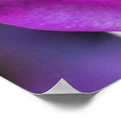 Paars Roos Poster (Hoek)