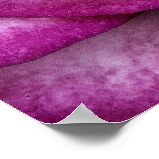 Paars Roos Poster (Hoek)