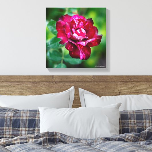 Paars Roos Tiger Canvas Afdruk (Insitu (Slaapkamer))