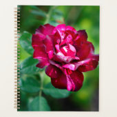 Paars Roos Tiger Planner (Voorkant)