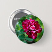 Paars Roos Tiger Ronde Button 5,7 Cm (Voorkant /achterkant)