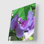 Paars Roos van Sharon of Hibiscus Syriacus Vierkante Klok (Hoek)