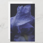 Paars Roos ventilator Briefpapier (Voorkant / Achterkant)