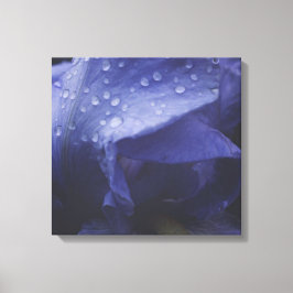 Paars Roos ventilator Canvas Afdruk