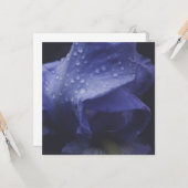 Paars Roos ventilator Kaart (Voorkant / Achterkant in situ)