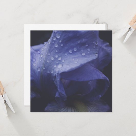 Paars Roos ventilator Kaart (Voorkant / Achterkant in situ)