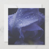 Paars Roos ventilator Kaart (Voorkant)